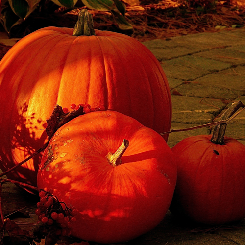 5 Things to Look Forward to in London this Autumn